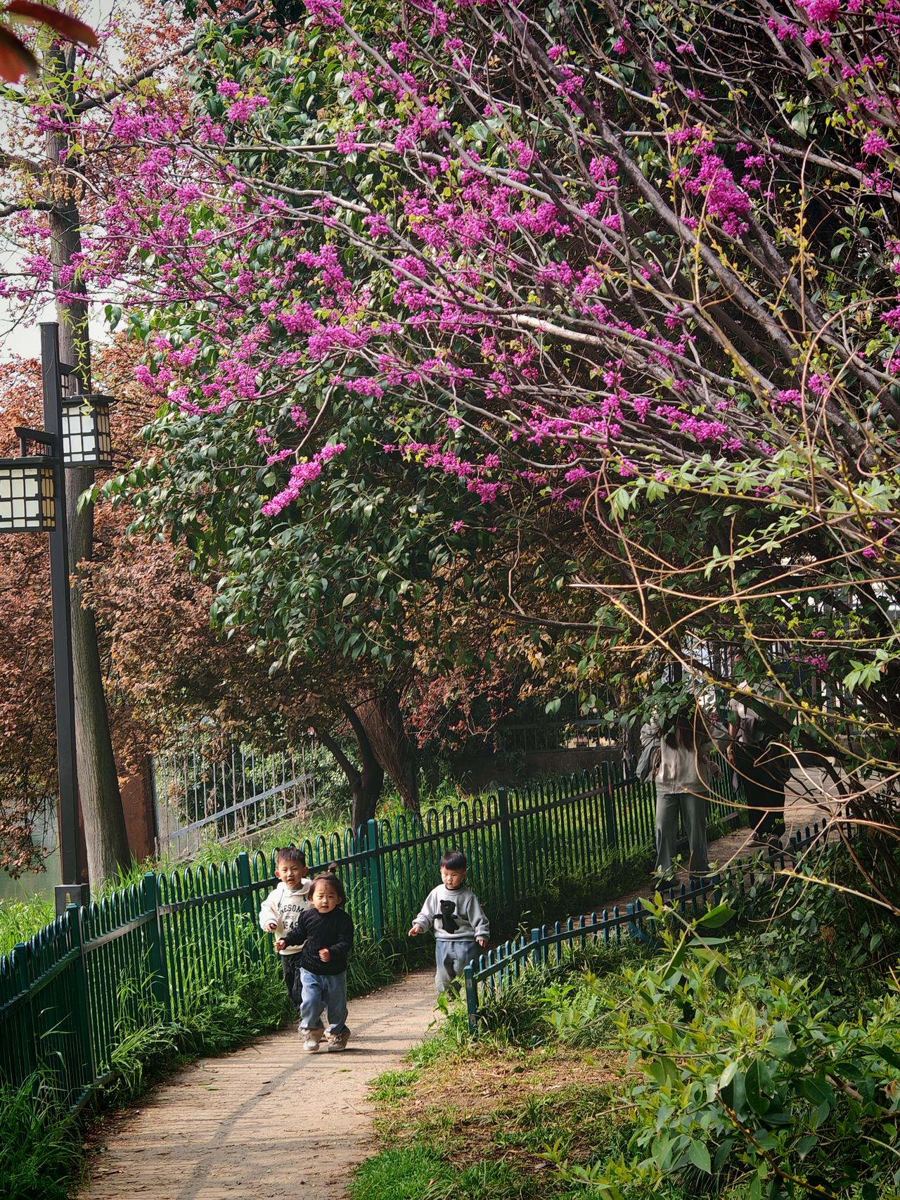 春天来了，这可是小朋友撒欢的好时节。就像脱缰的小野马，奔跑在嫩绿的草地间。公园里