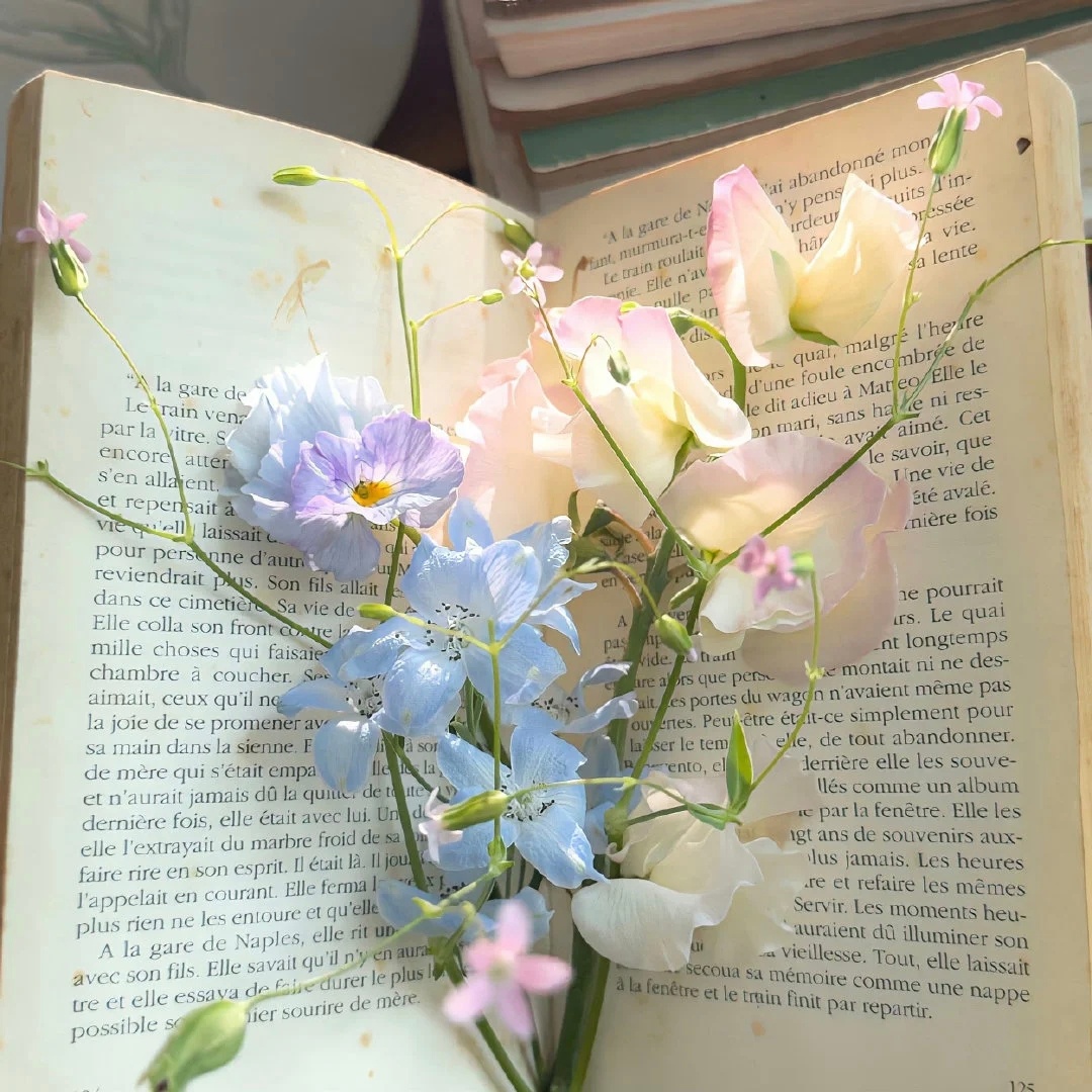 🍀朋友圈文案ʜᴀᴘᴘʏ̆̈🫧好文案,一句就够了💓1.  🍊˚𝗛𝗮𝗽