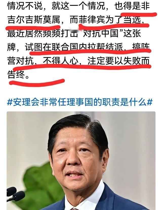 菲律宾 争夺安理会非常任理事国席位以失败告终，有人说，联大投票结果是“142票对