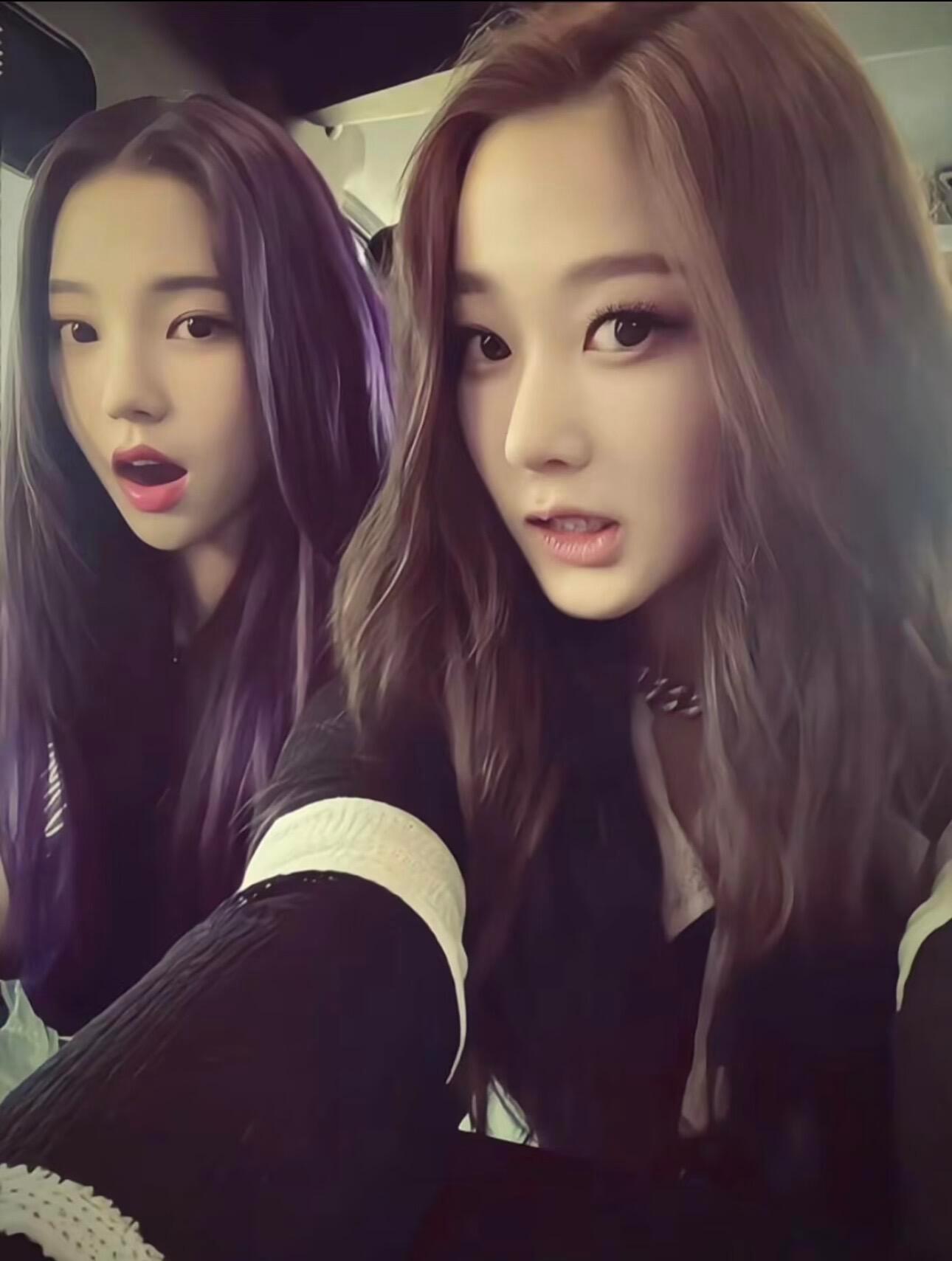 一张柳智敏吉赛尔早期合照 