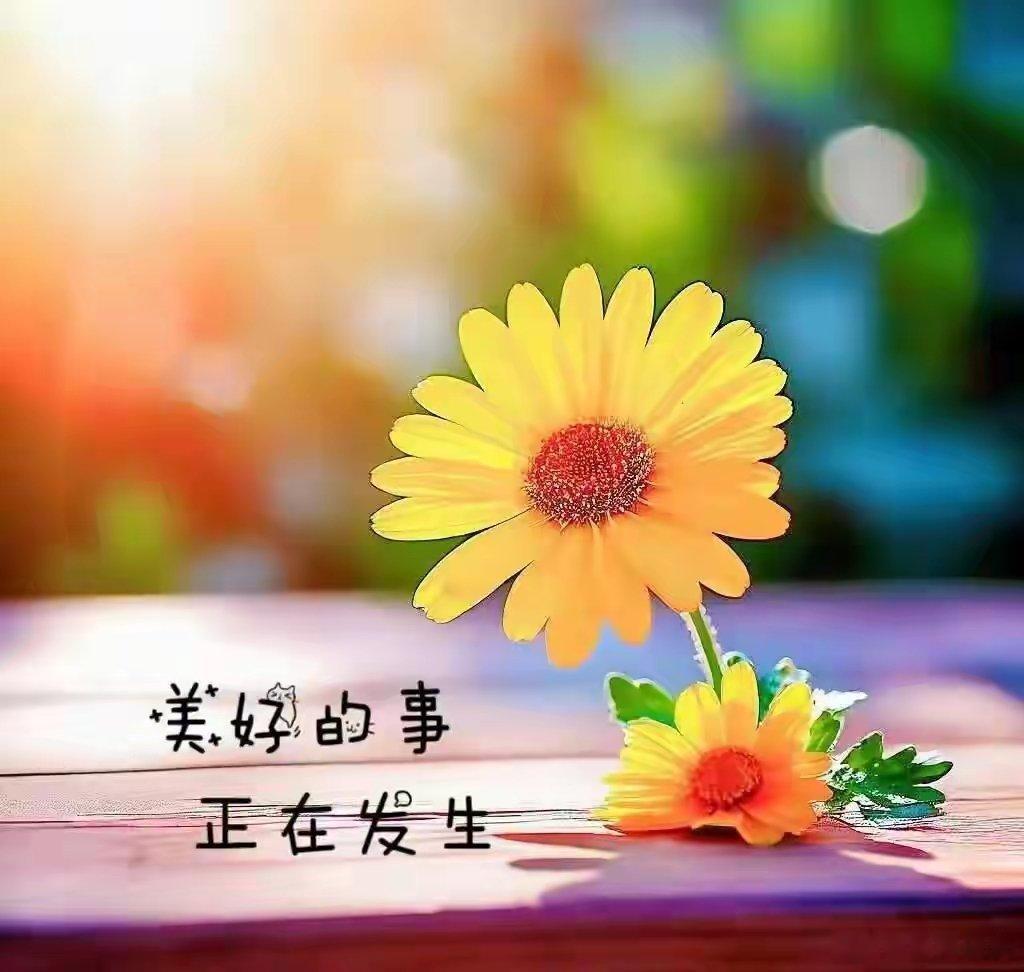 人间煮月，花深人静，是饮不尽的清欢，也是醉不醒的流年。有人独坐听故事，有人提笔写