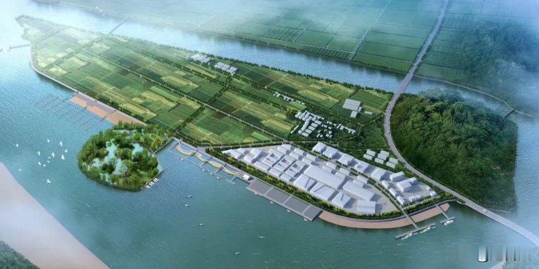 台州金清渔港大升级！10月底完工，国家级渔港全新亮相

路桥金清渔港提升工程作为