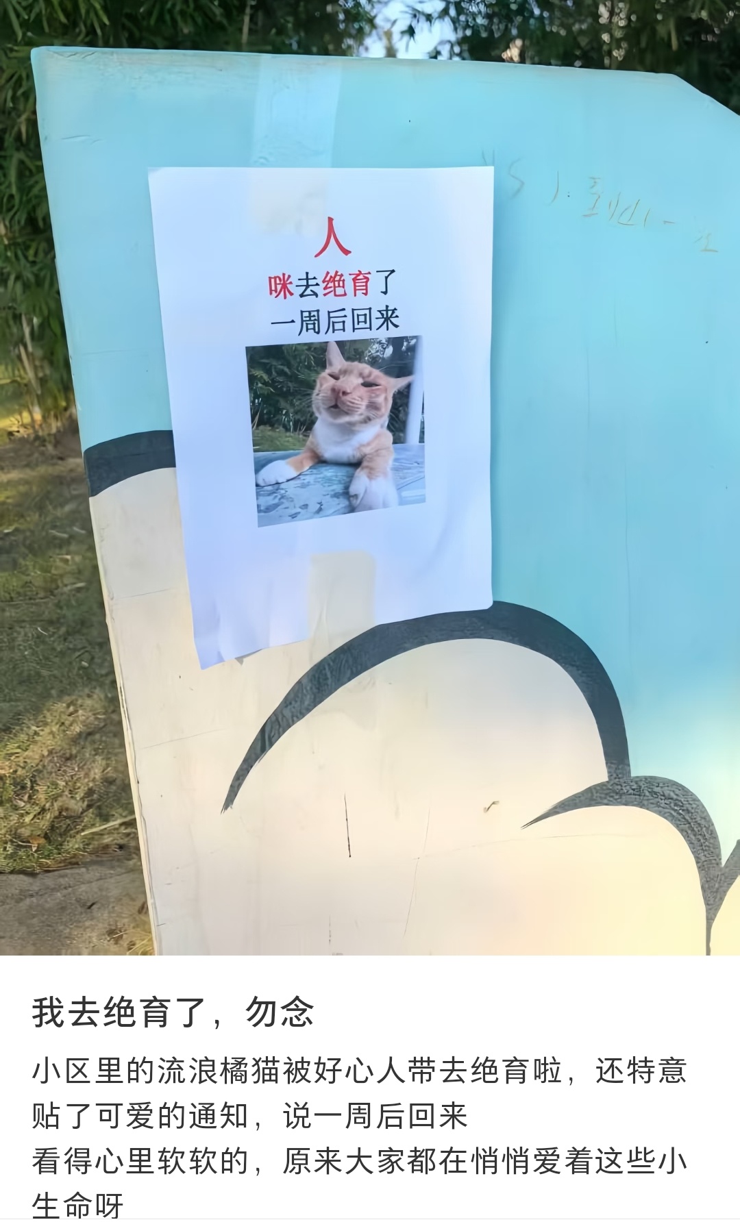 Heart软软 