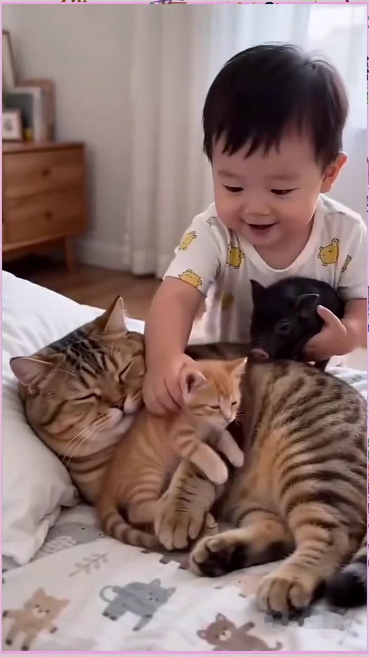 哎呦我的妈，哈哈。