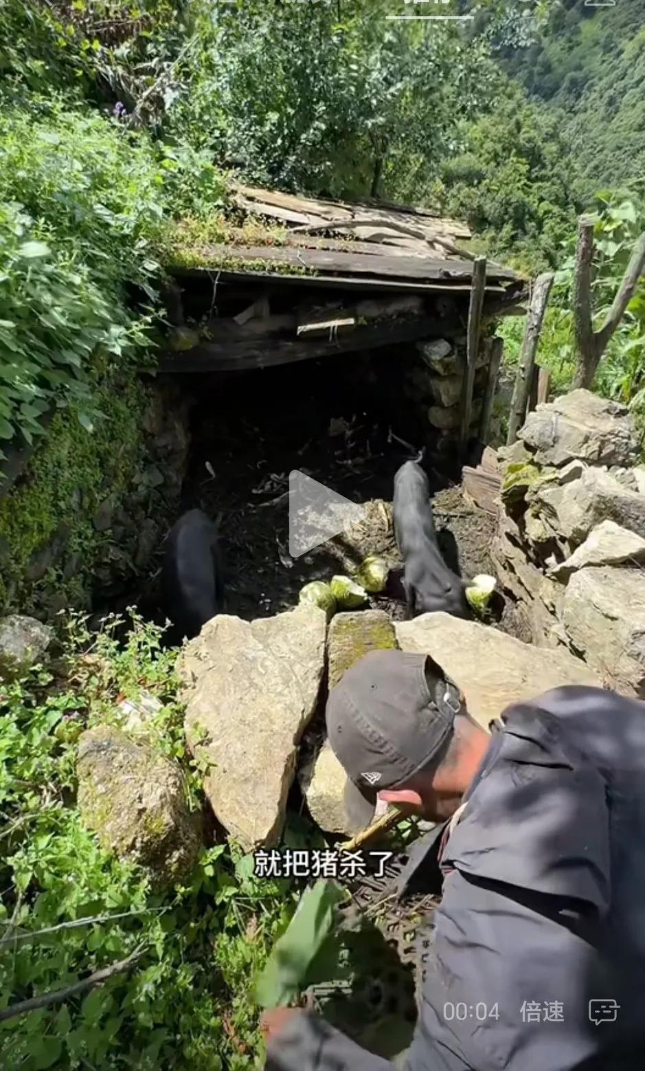 如果让你住在这样，自给自足，远离城市喧嚣的大山上，你愿意吗？

我觉得中国人比尼