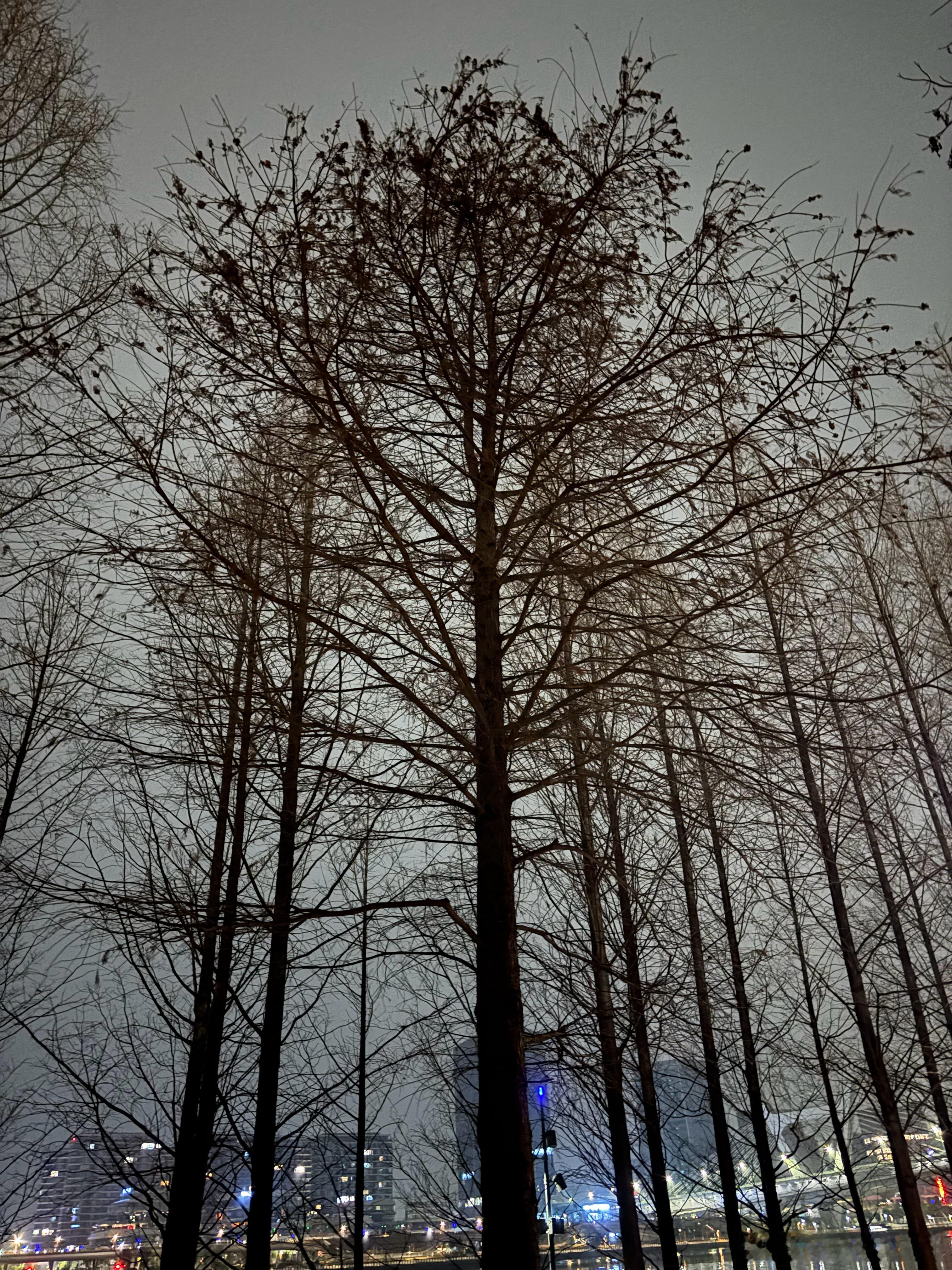 压着跑 一点点雨，跑着跑着，停了。跑完，又一点点地下起来。🌧️ 