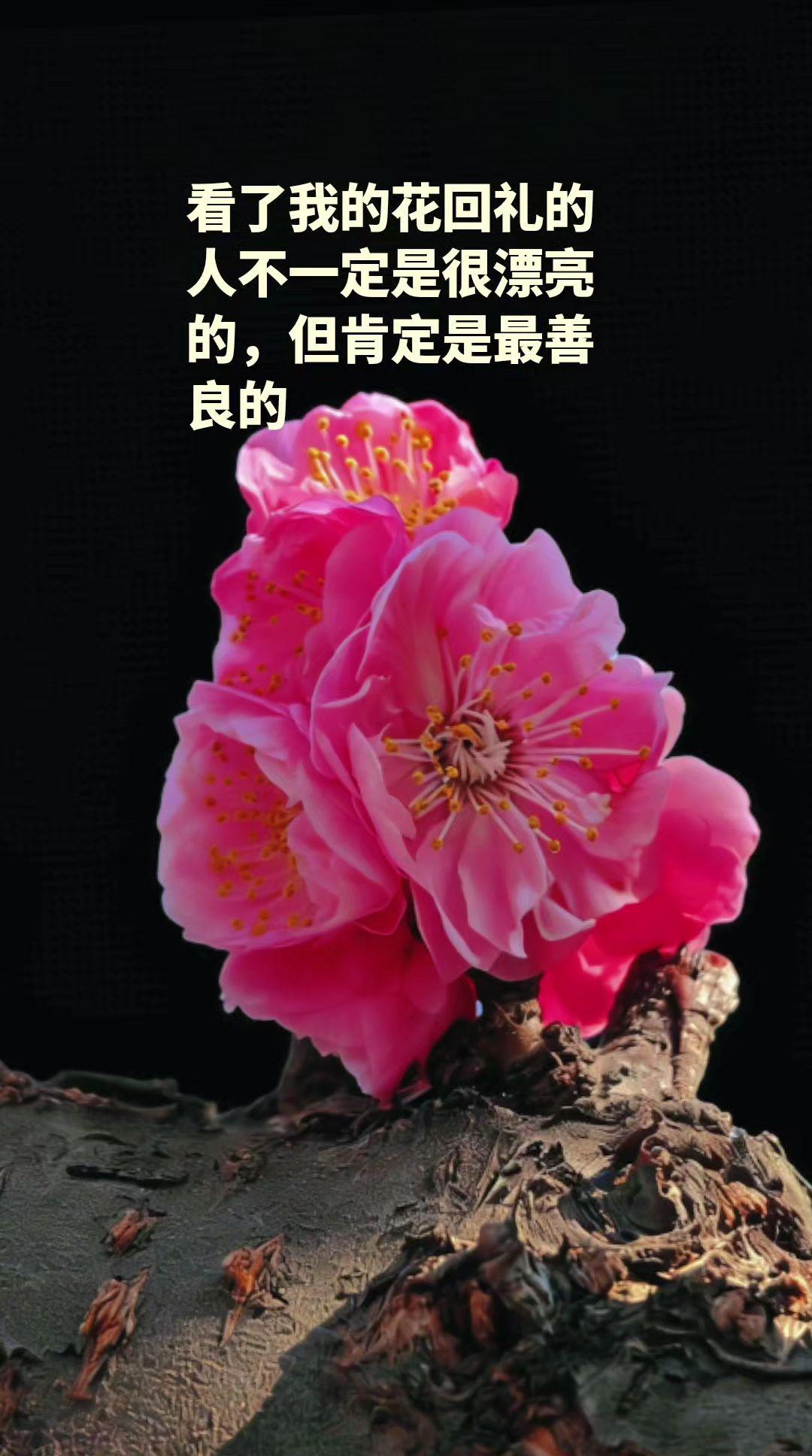 看别人的视频一定要看完，点赞评论，这样也能给你的账号增加活跃度