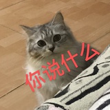软饺最爱美女