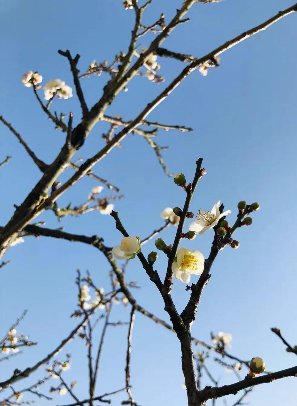 一起奔跑，一起向前[玫瑰]用人生有限的青春，焕发出无限的亮光，点燃自己，照亮他人