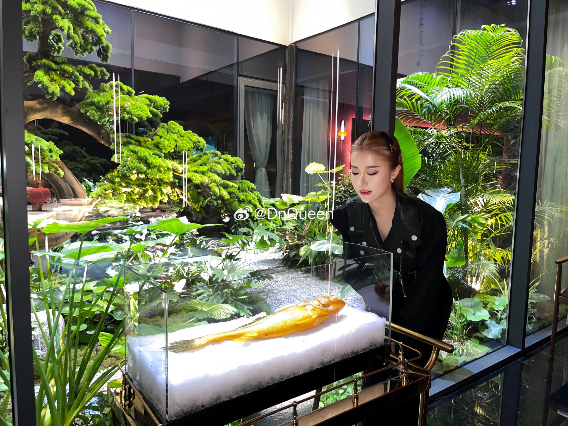 野生大黄鱼 ​​​