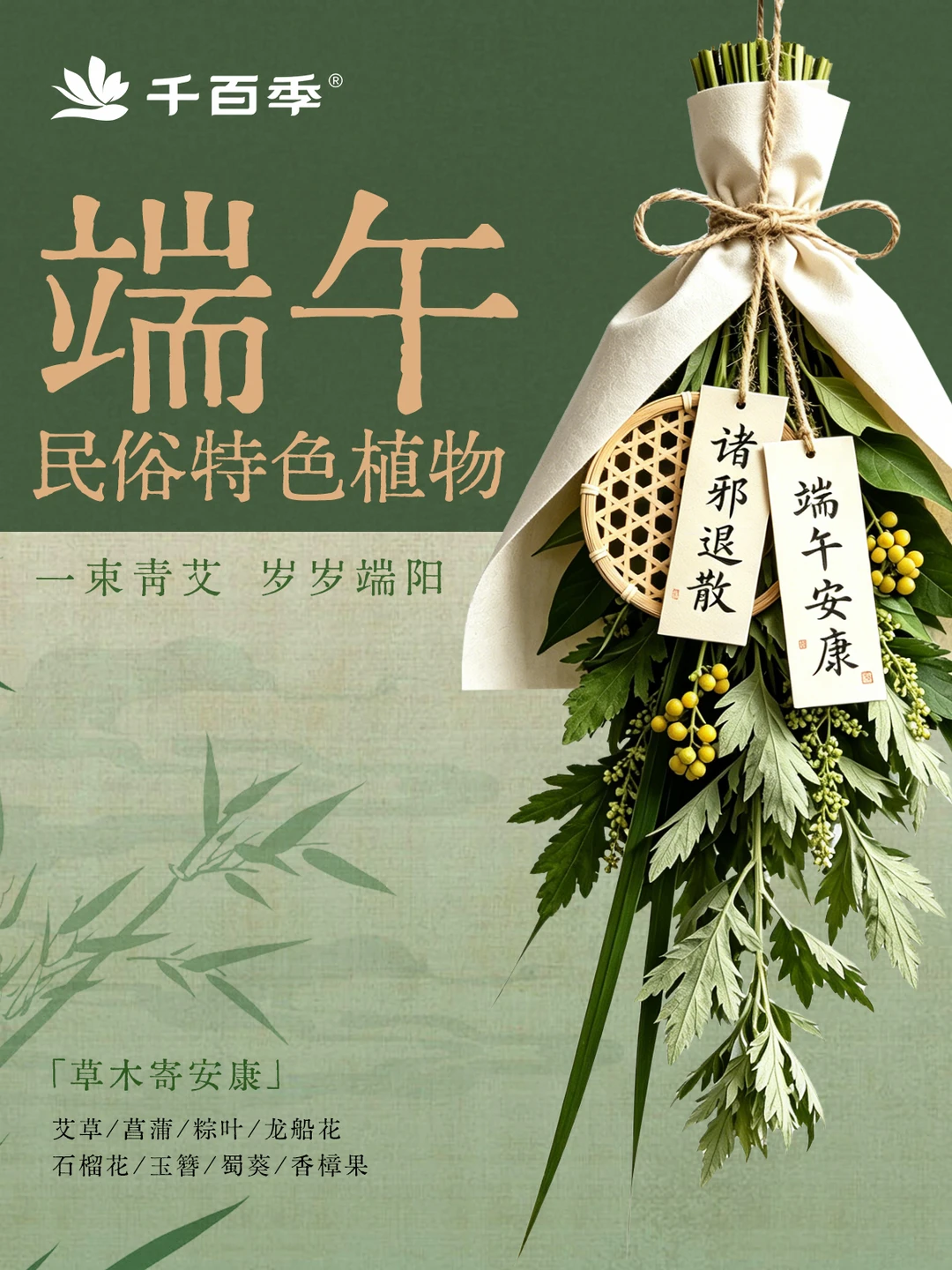 端午8种民俗植物｜藏着古人的平安期许