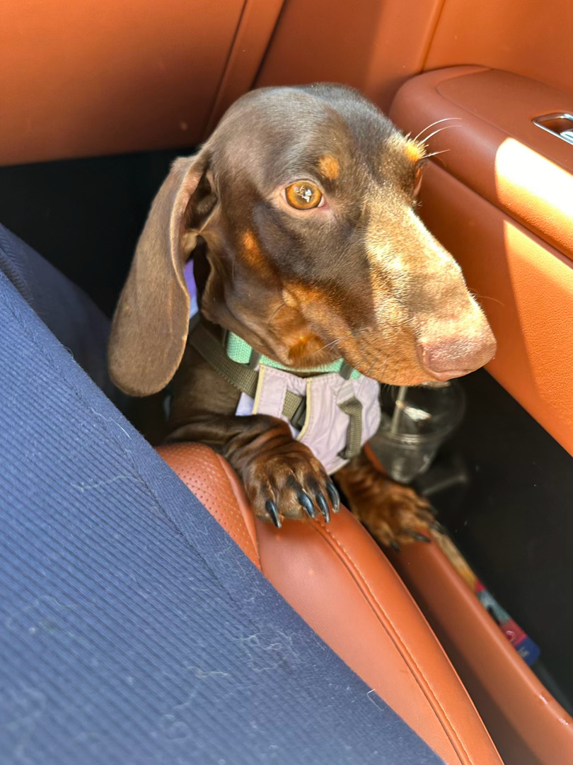 🚗去成都 杭州