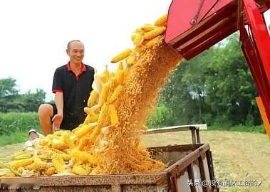 现在的农民也可以评职称了！

辽宁近日发布了意见稿，提出对农民进行职称评定，培养