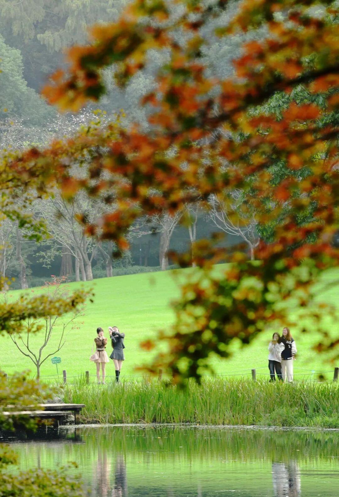 台风“凤凰”对浙江影响趋于结束。今天，浙江省大部阴转多云。接下来一连串秋高气爽好