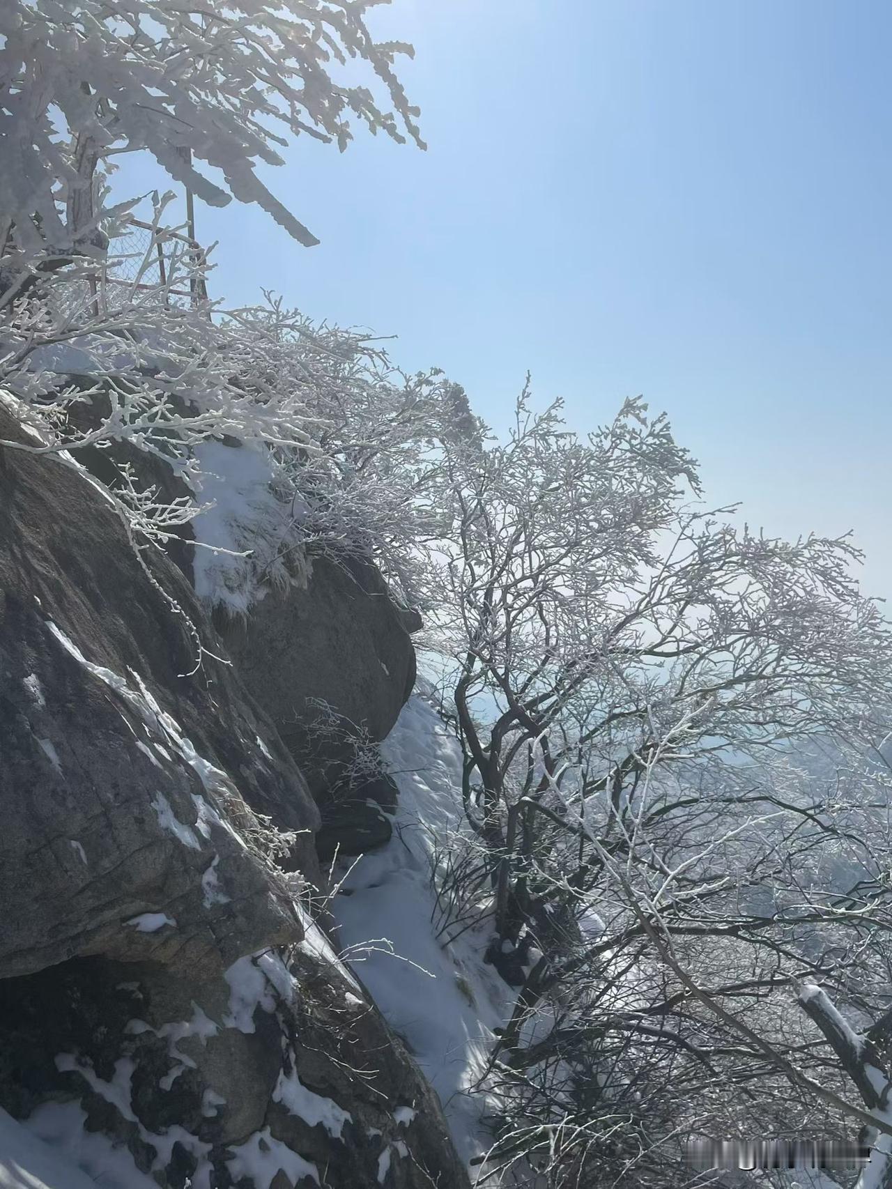 春有百花秋有月，夏有凉风冬有雪。
晒出你的下雪图片