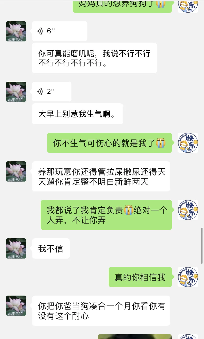 我妈为了不让我养狗，让我爸当狗劝退我🥲