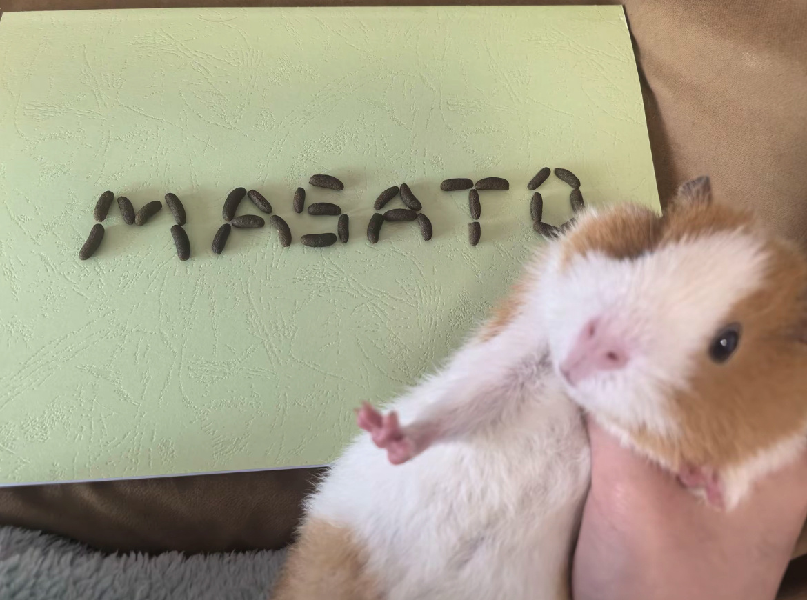 卧槽啊我特么笑死了 马萨头真豚鼠来的 