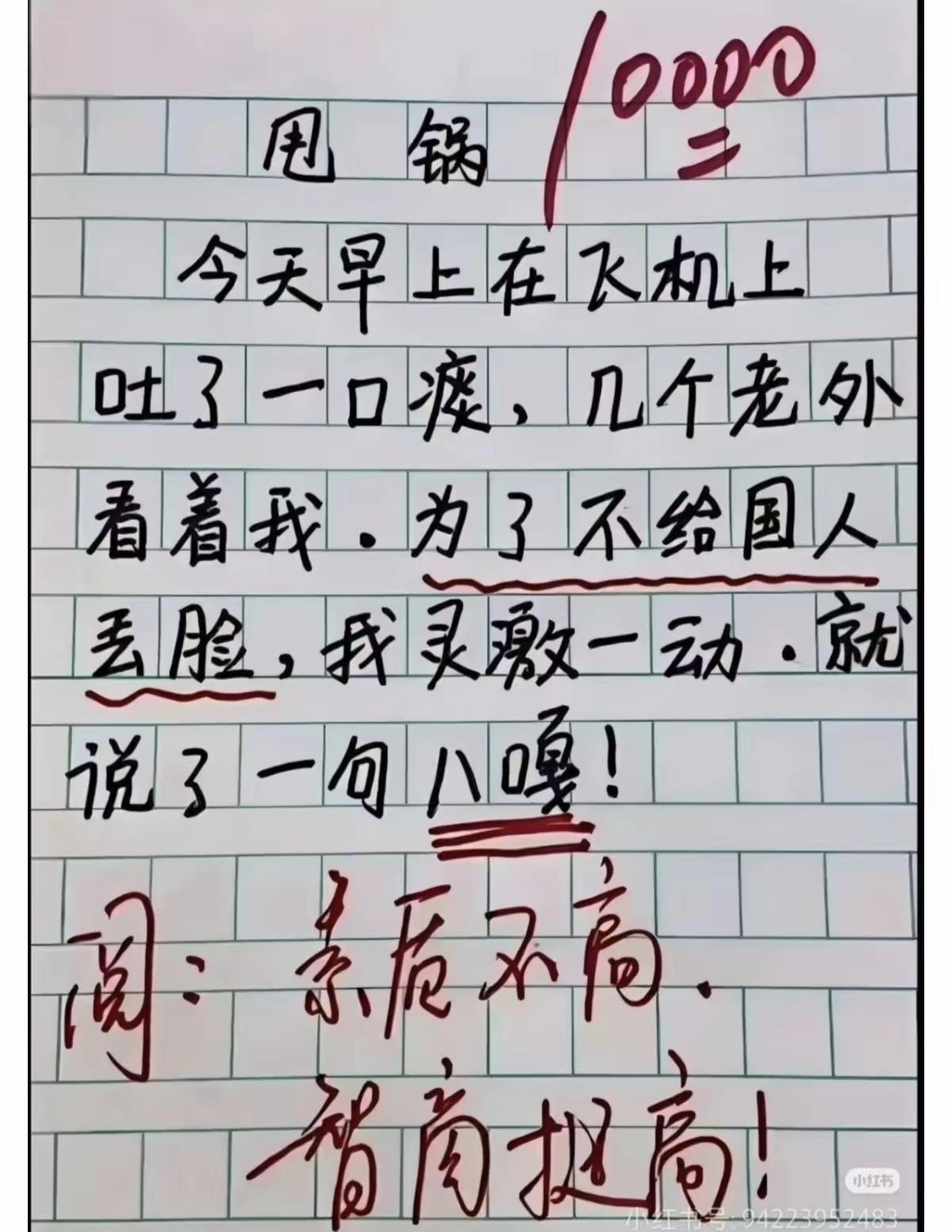 智商大于素质，这锅甩得有水平吧！