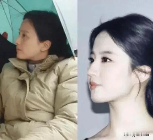 娱乐圈4大最美丈母娘，丈母娘只比女婿大2岁，女婿：压力真的好大

 
关注
娱乐