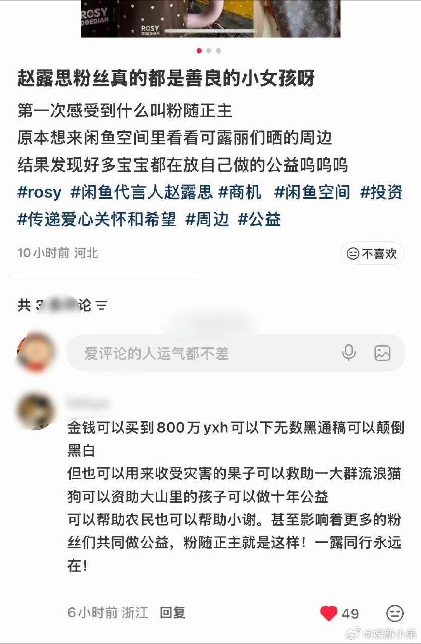 赵露思粉丝做公益