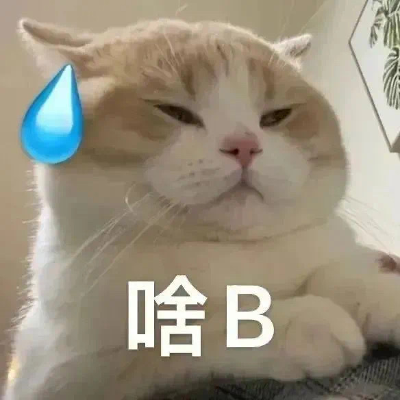 自用沙雕聊天表情包 ⁺◦ #表情包# ​​​