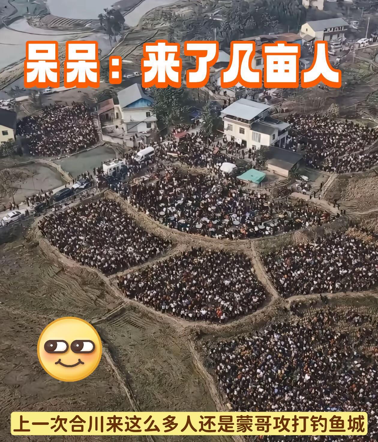 重庆合川的呆呆妹，本名李静，最近可把她忙坏了。她家要杀年猪，可爸妈都快七十了，平