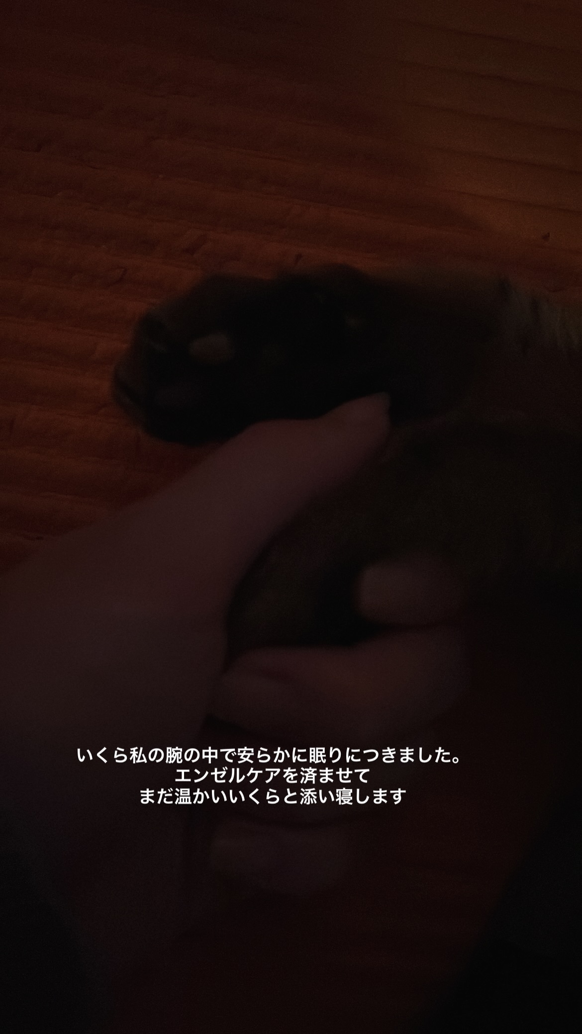 坂田梨香子（ins 快拍 