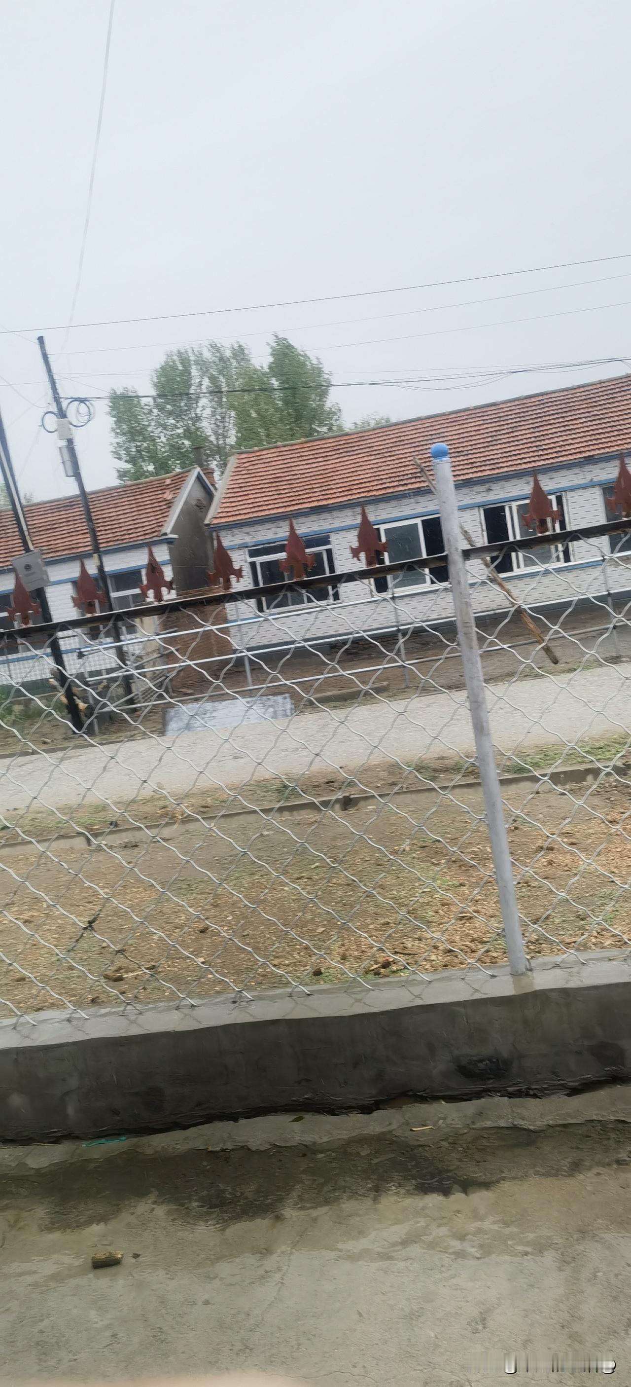 今天外面下雨了下的可大了。这哪是下雨呀？这是下钱啊。今年正好是春旱。农民都把地种