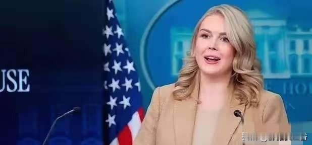 白宫：对格陵兰不排除武力
今天凌晨，卡罗琳在例行记者会上谈到格陵兰岛问题时，毫不