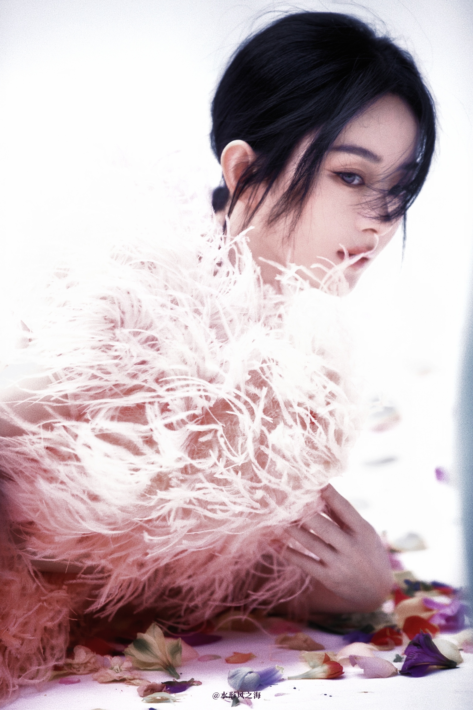 赵丽颖电影澎湖海战 zly赵丽颖黄和娘“·我的心是旷野的鸟，在你的眼里找到了天空