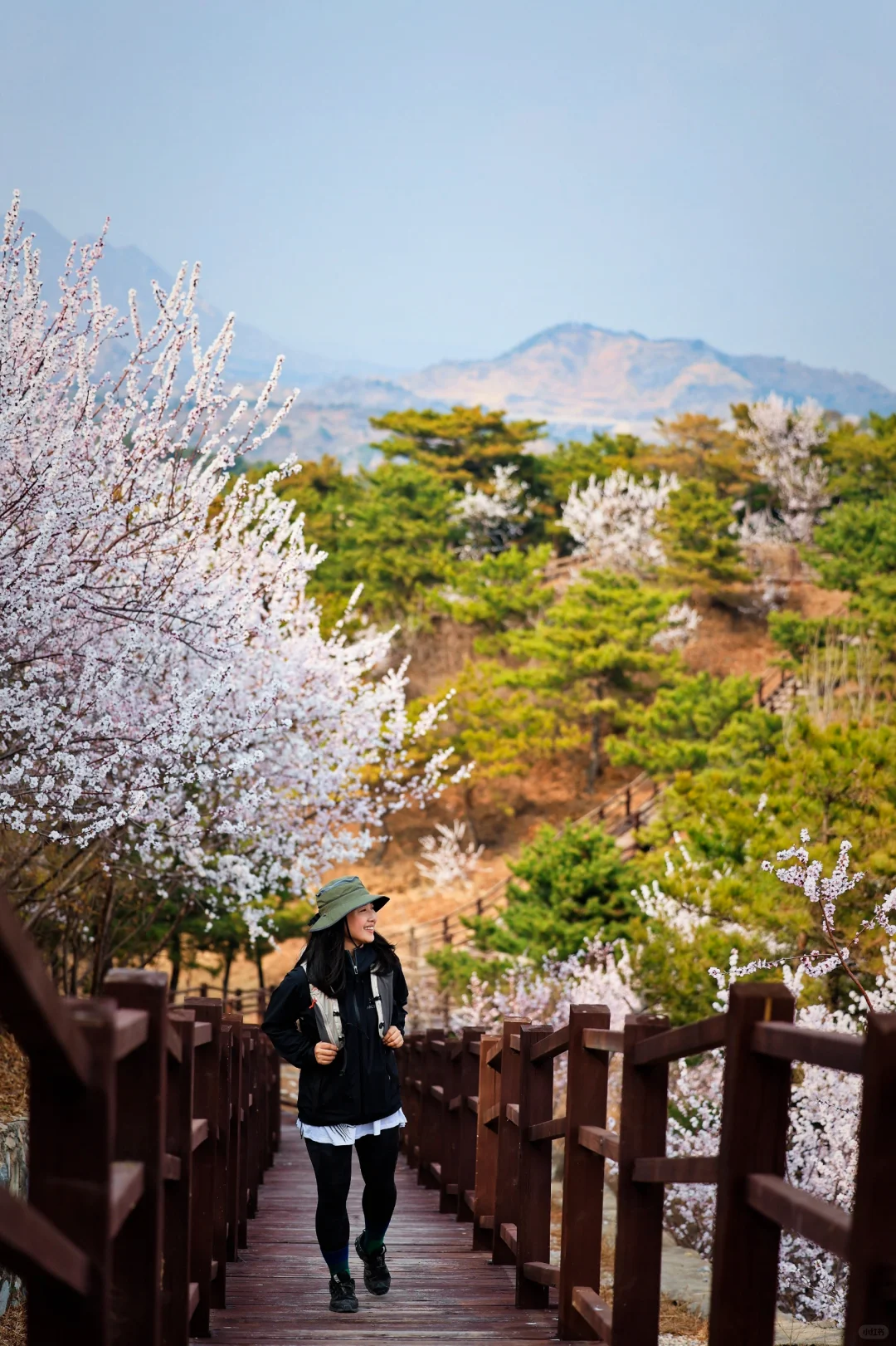 宝藏湖门村🌳两条赏花徒步路线+幼崽友好