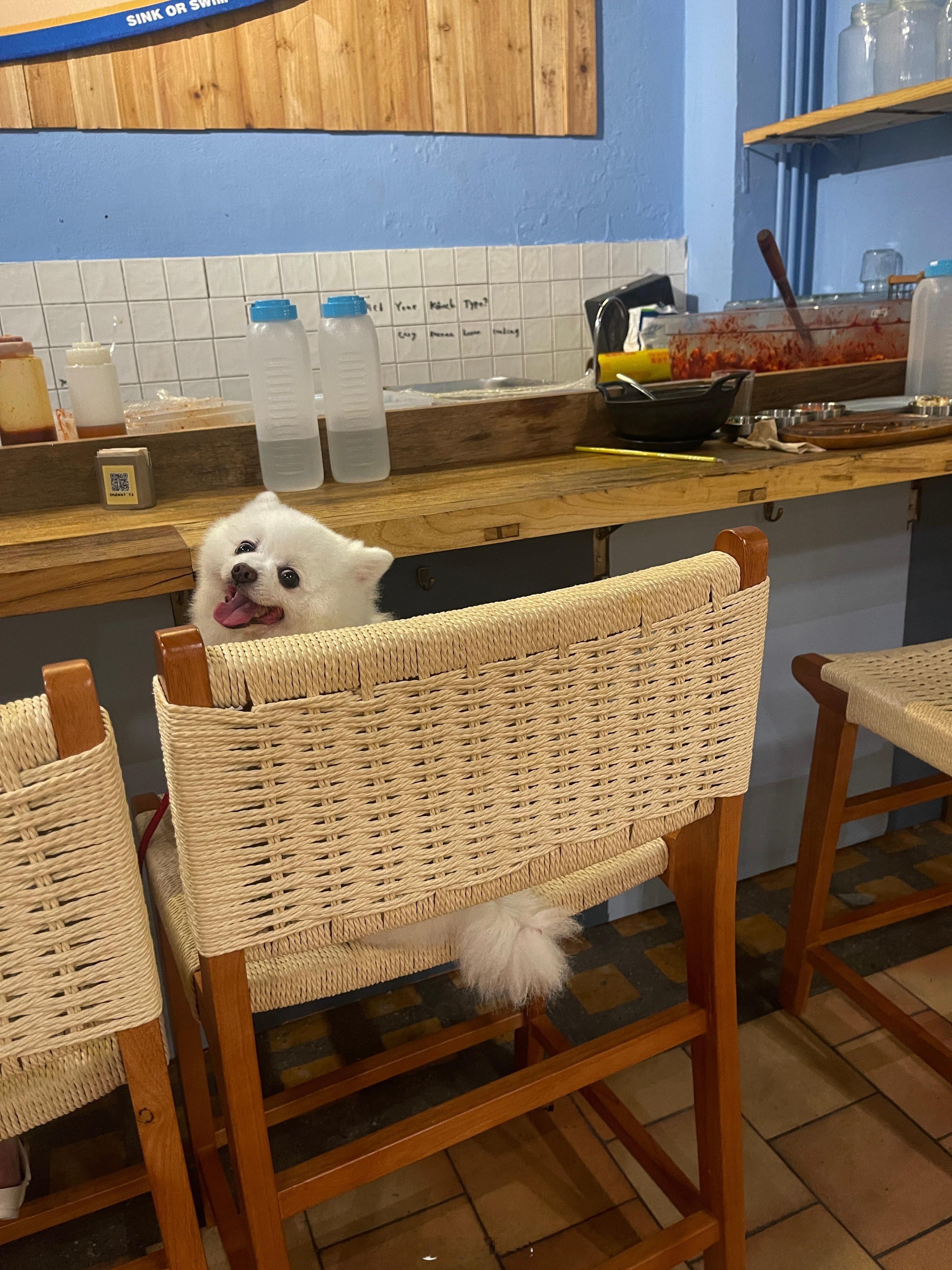 🛋️ 蓝蓝的星期天 