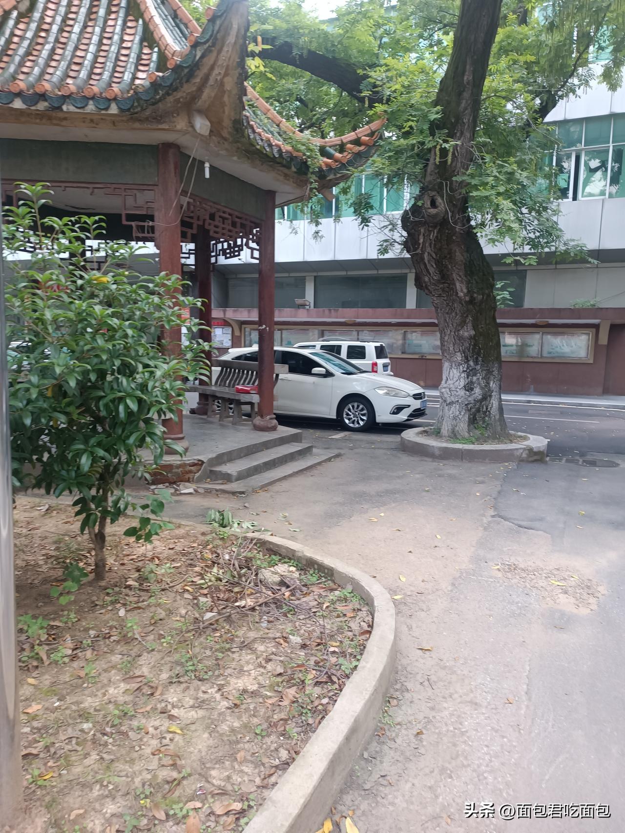 夏日生活打卡季吃完饭散个步