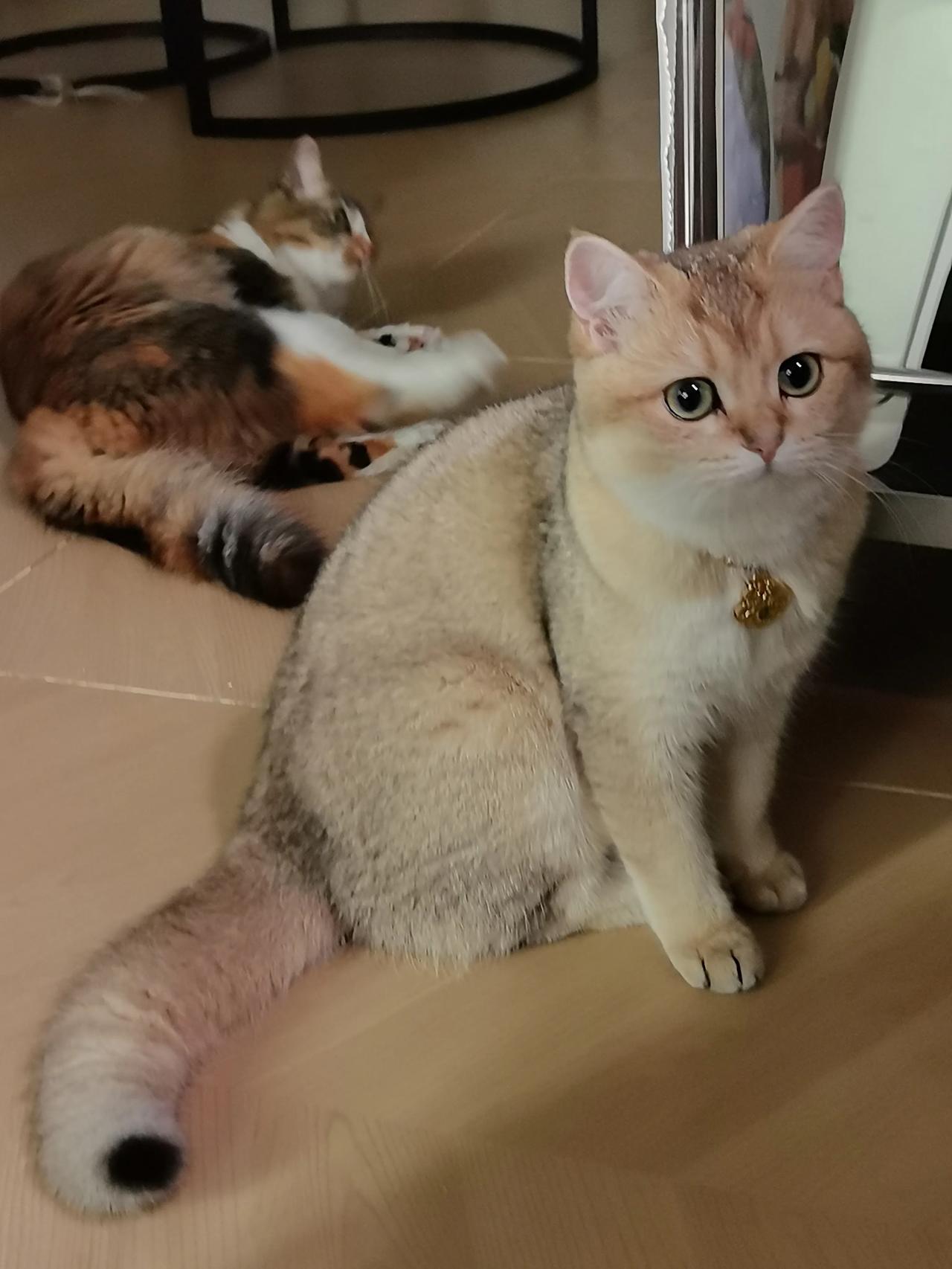 年少吃苦和年老吃苦,哪一个更苦?