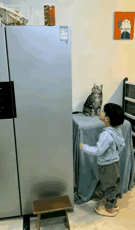 家长万万没想到，藏得自认为万无一失的零食，居然悄咪咪消失得一干二净，直到调出监控