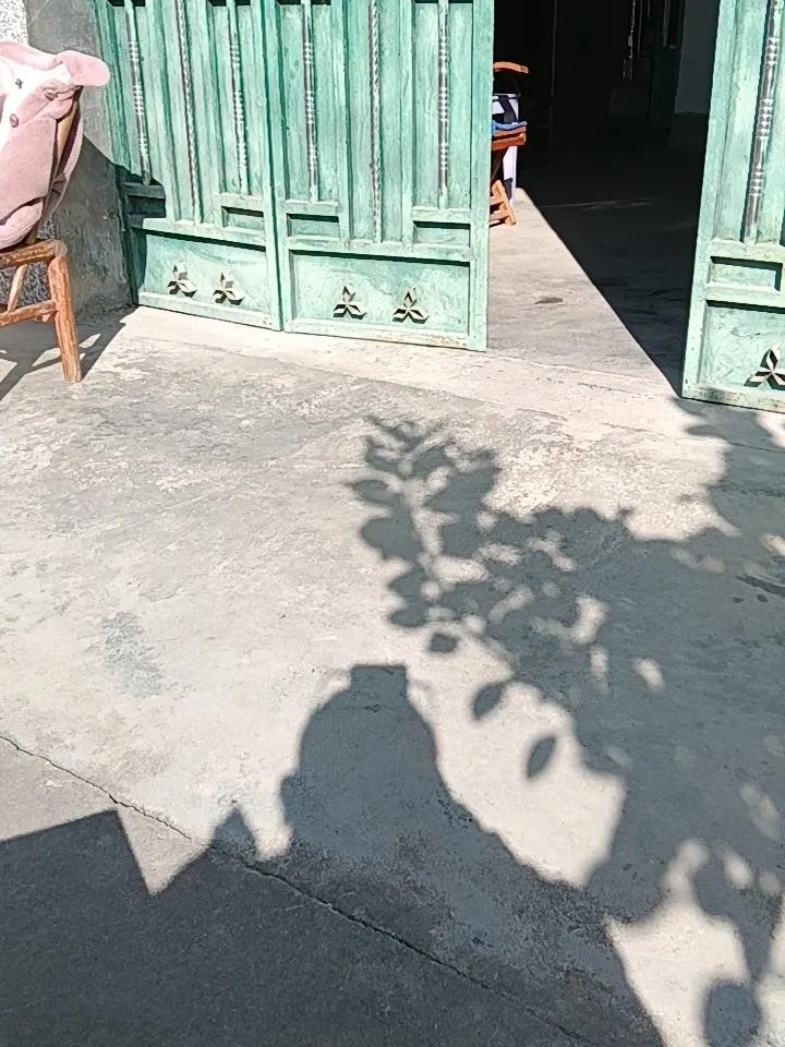 今天到帮丈母娘装好电视机顶盒