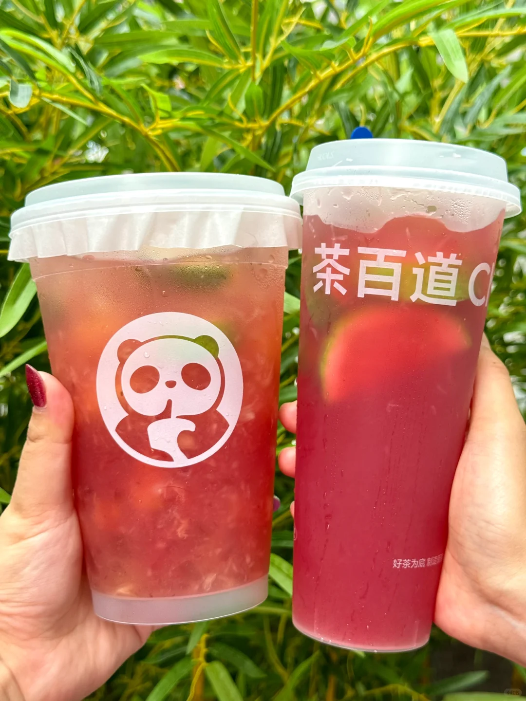 终于理解网上说的好喝到无语了🙄…….