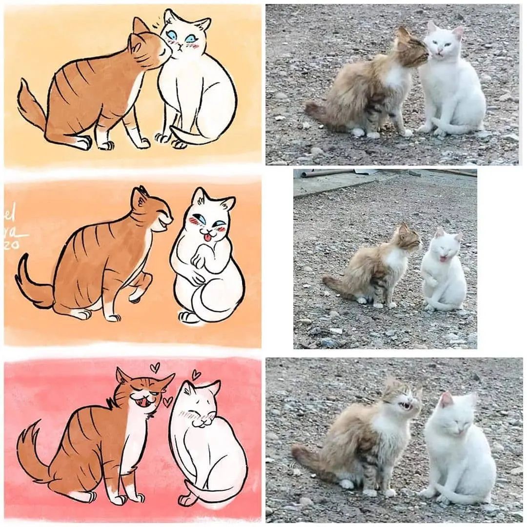 哈哈哈哈哈猫猫被画成漫画了 ​​​