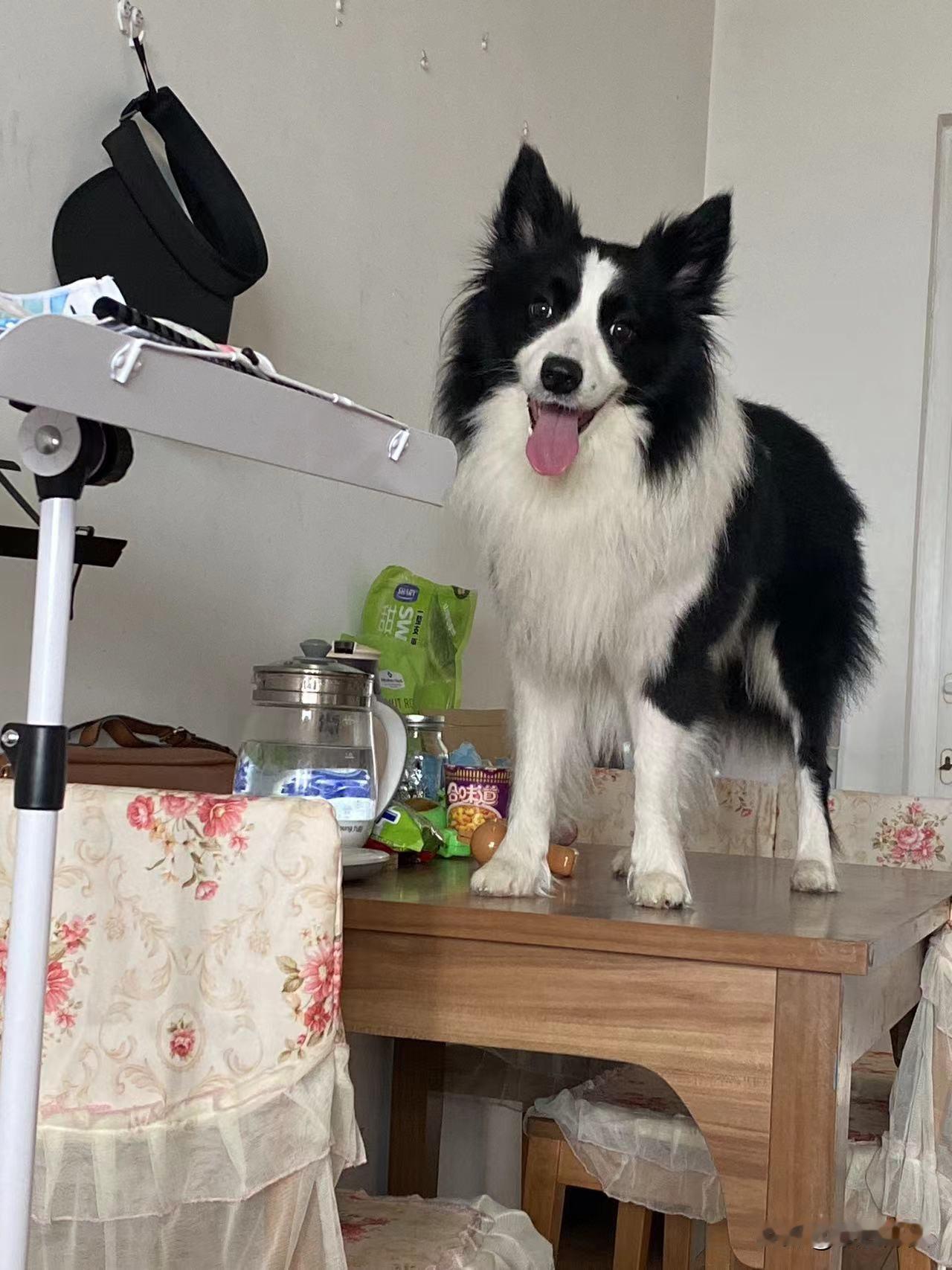 今年最舍不得删的照片乐趣就是这样的