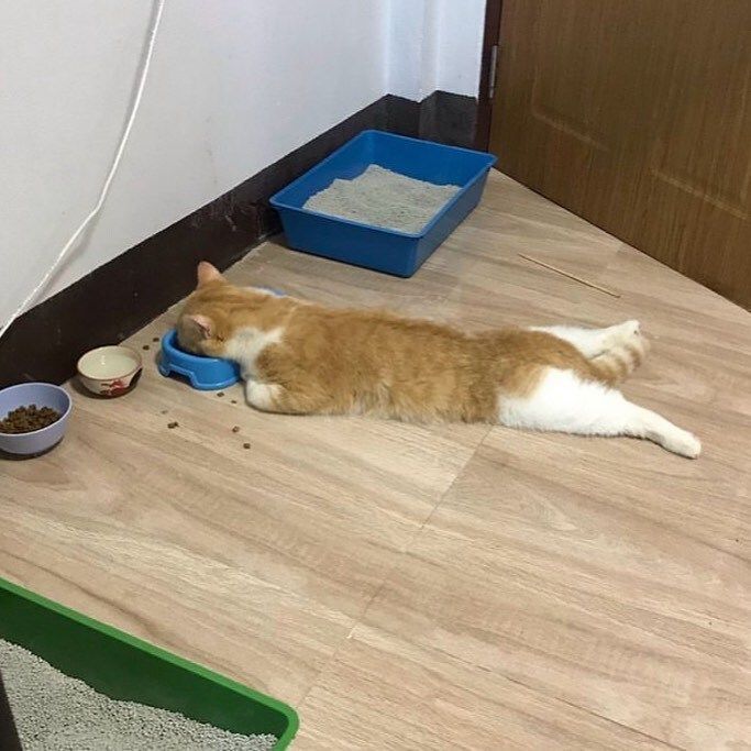 午饭时间 ​​​