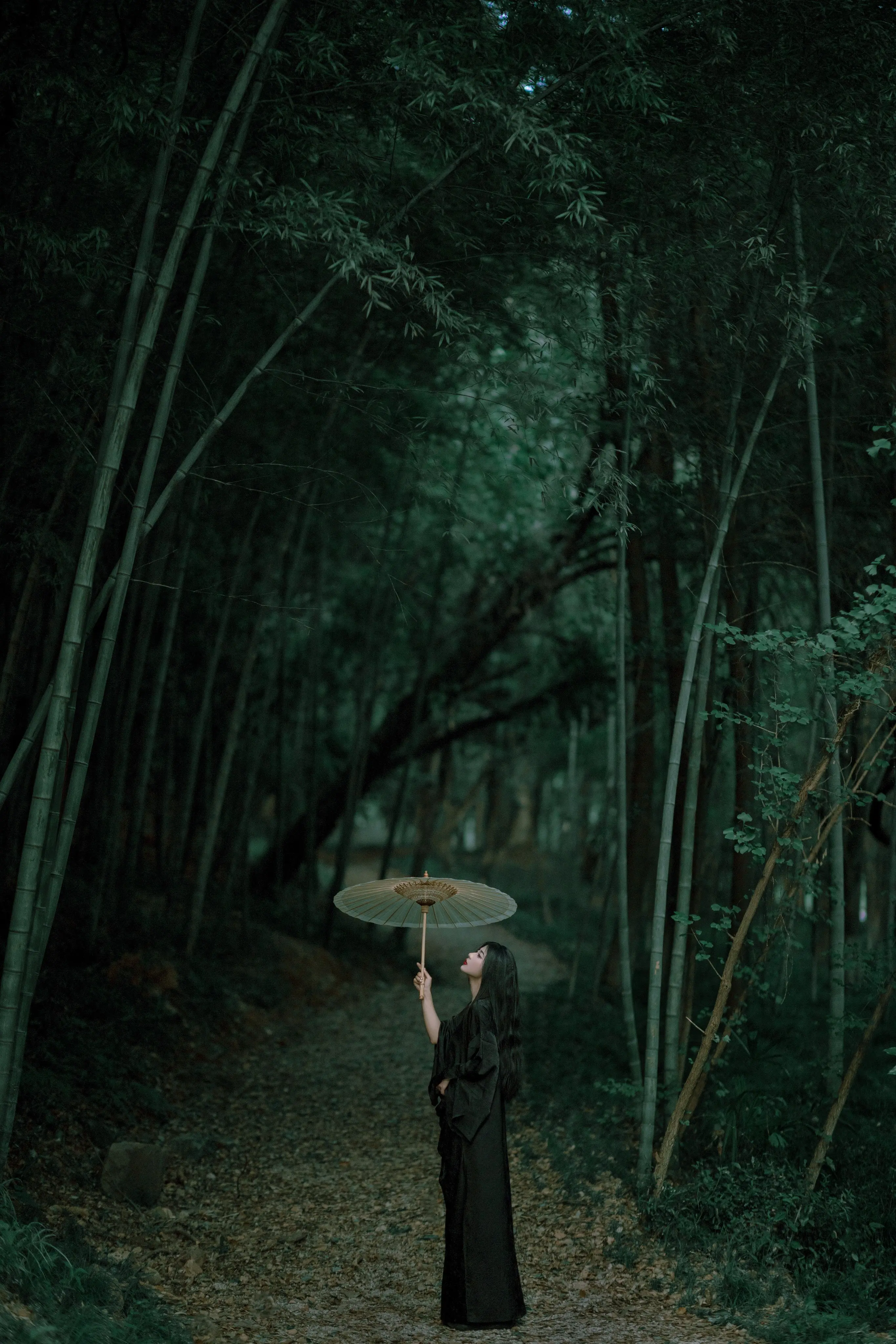 你的离开不是一场暴雨， 而是此生漫长的潮湿。。