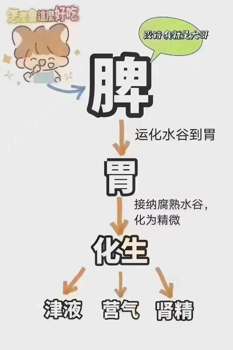 要想气色好，补脾要趁早，这5个补脾中成药，一定要记牢！

1.人参健脾丸
   