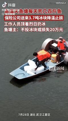 “这广告打得好！”湖北武汉，一男子养殖了120亩鱼塘，其中有32亩因高温天气，出
