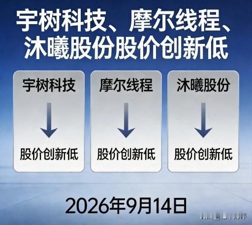 A股股民正在为IPO畸形定价付出惨重代价！
今天，宇树科技，摩尔线程，沐曦股份三