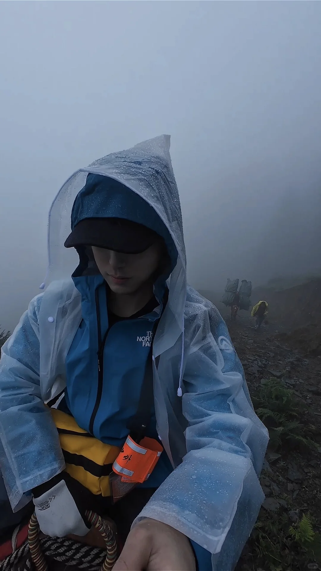 失联48h，听说穿越森林就能看见雪山🌲