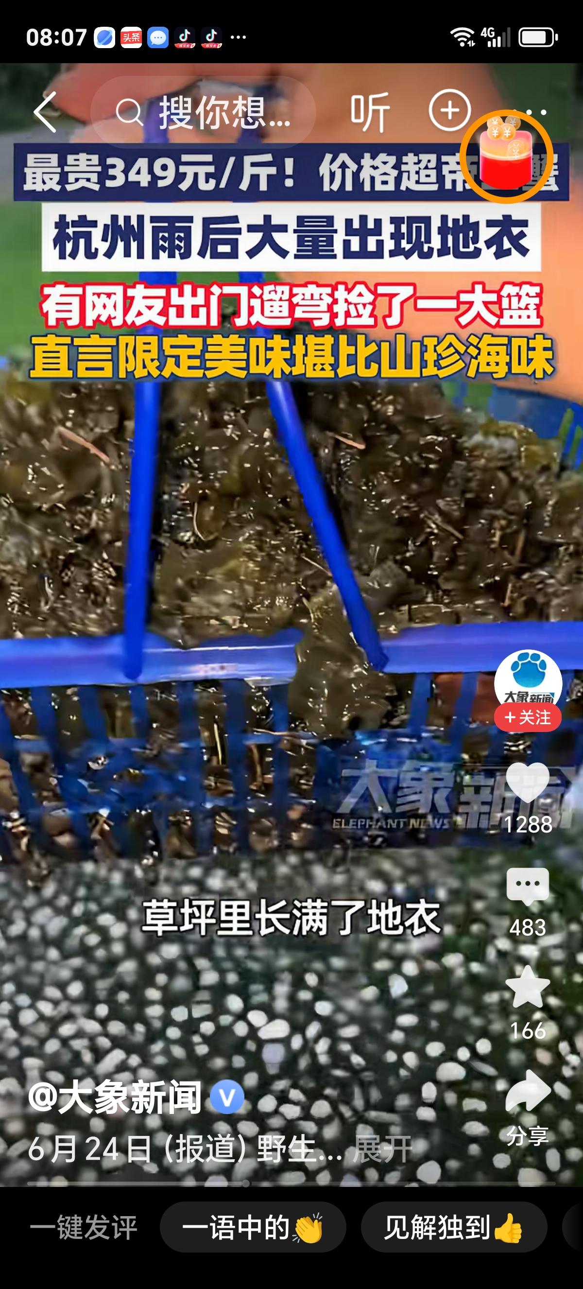 杭州地衣（地皮菜）完整价格榜单（2026梅雨季最新）
 
一、电商精品野生干货（