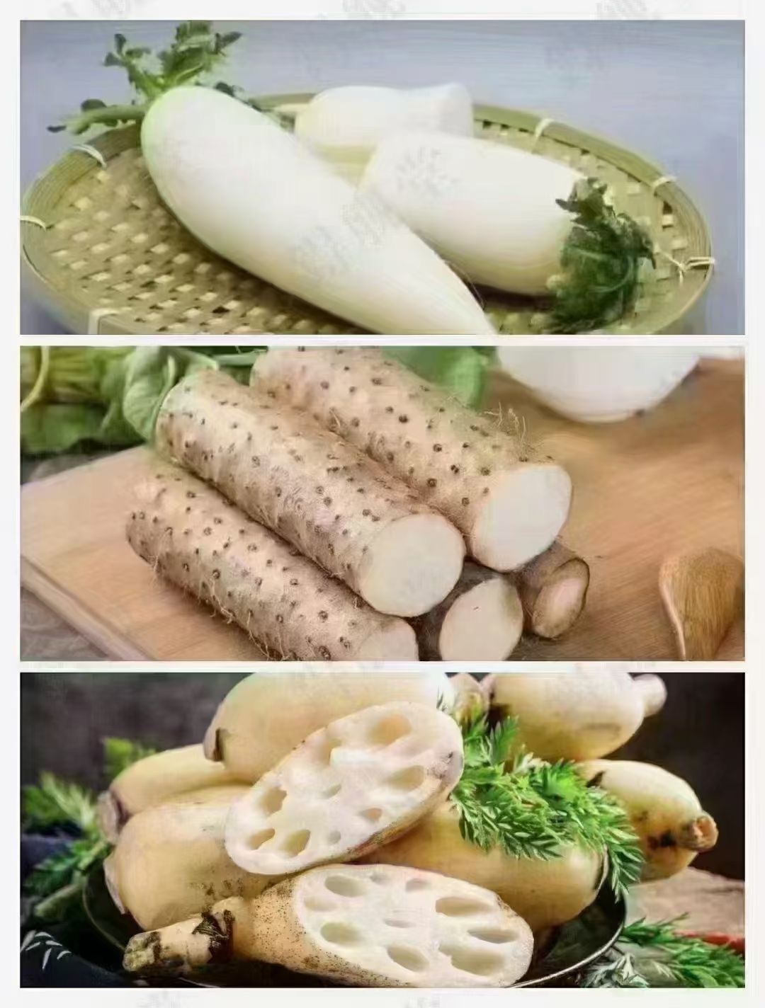 #中医##育儿专家说# ​​​​​​​​秋季三宝❓ 1.萝卜:润肺定喘治咳嗽，消