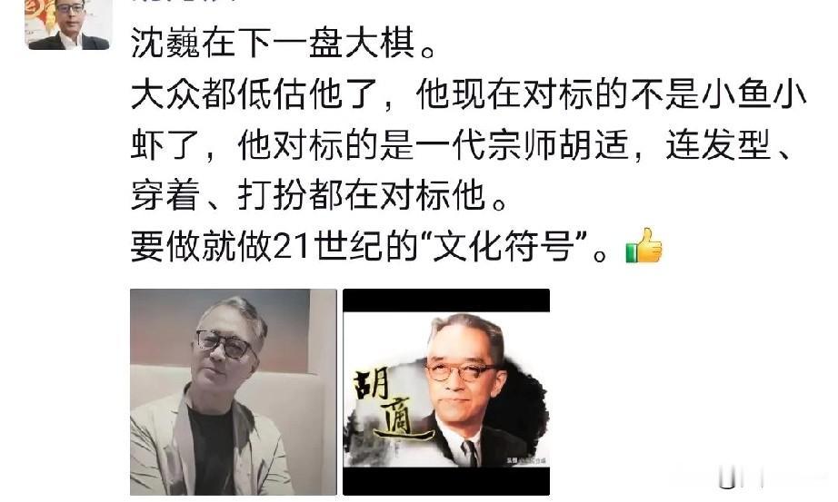 为了蹭流量，我把沈巍和胡适放一起比了比，写完自己都脸红。可刷到某大V长文，人家直