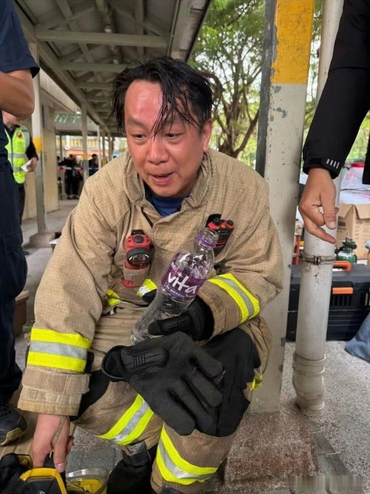 香港消防员救出9猫1狗