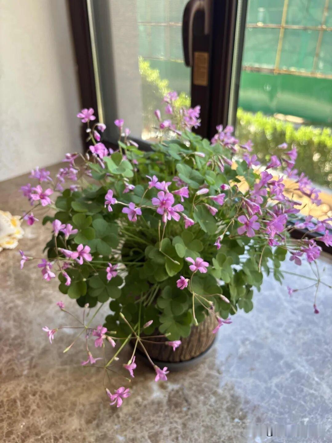自从退休后，闲暇时间喜欢读书，由其喜欢读古诗词，如果每天读写一首，并且还要学习、